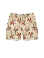 Barts Fervis Shorts