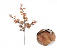 Money leaf tak bruin 104 cm - Buitengewoon de boet