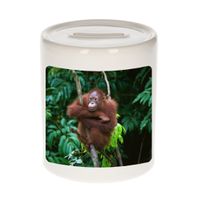 Dieren foto spaarpot orangoetan 9 cm - apen spaarpotten jongens en meisjes - thumbnail