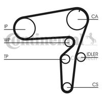 Requal Distributieriem kit incl.waterpomp RTP034 - thumbnail