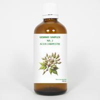 Balancepharma Gemmo simplex 2 acer campestre 100 Milliliter