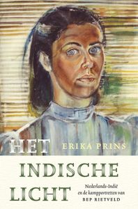 Het Indische licht - Erika Prins - ebook