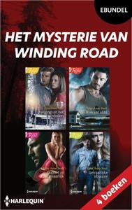 Het mysterie van Winding Road - Tyler Anne Snell - ebook