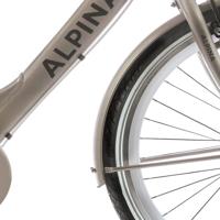 Alpina spatbord set 26 clubb gold met matt