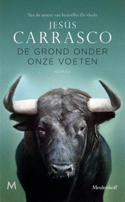 De grond onder onze voeten (Paperback)