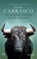 De grond onder onze voeten (Paperback)