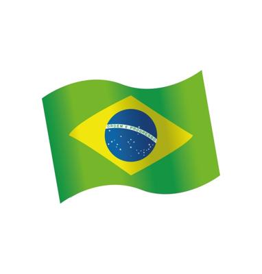 Houten Tafeldecoratie Brazilië (16st)