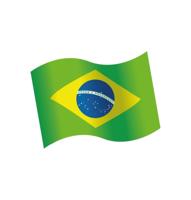 Houten Tafeldecoratie Brazilië (16st)