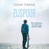 Zijspoor