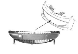 BUMPERGRILL tot 02/2009 4019590