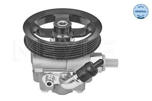 Servo pomp 30146310001