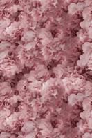 Moooi Carpets - Laagpolig Vloerkleed Hortensia Pink Low Pile -