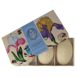 La Florentina Zeep iris