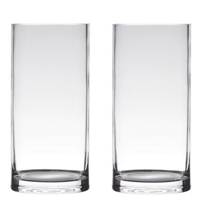 Hakbijl Glass Vaas - Set van 2x stuks - cilinder - glas - transparant - 15 x 35 cm - vazen