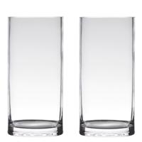 Hakbijl Glass Vaas - Set van 2x stuks - cilinder - glas - transparant - 15 x 35 cm - vazen