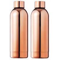 RVS waterfles/drinkfles - 2x - kleur metallic koper - met schroefdop - 800 ml