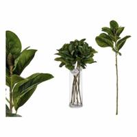 Decoratieve plant Groen Plastic