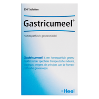 Heel Gastricumeel Tabletten 250st - thumbnail