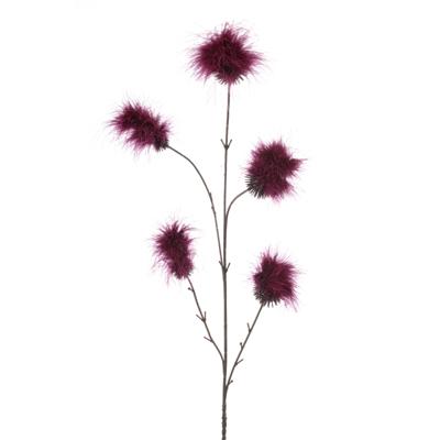 Pom pom