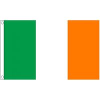 Mini vlag Ierland 60 x 90 cm