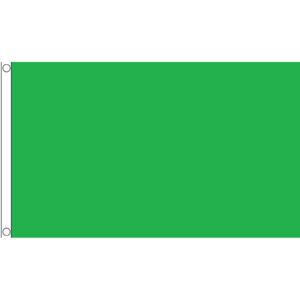 Groene vlag - 150 x 90 cm - decoratie vlag in de kleur groen - polyester - met ophangogen