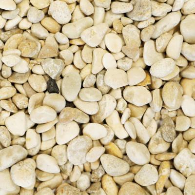 Superfish Aqua Grind - British bruin 5 - 8 mm