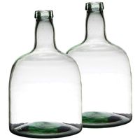 Set van 2x stuks flessenhals bloemenvazen van glas 30 x 19 cm