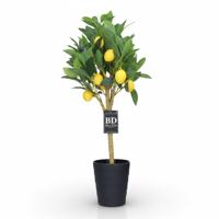 Bellatio design Kunst citrus boom in pot - citroen - 70 cm - kunstplant - voor binnen