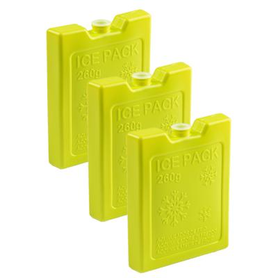Plasticforte Koelelementen - 6x stuks - 260 grams - 13 x 10 cm - groen - kunststof