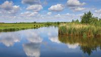 Water wolk 130x70cm Tuinschilderij - Customize it
