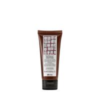 Davines Naturaltech Replumping Conditioner