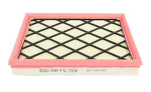Luchtfilter BSG65135017