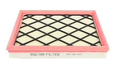 Luchtfilter BSG65135017