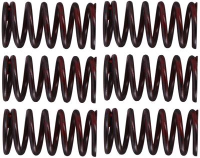 TRW koppelingsveren set clutch spring kit mef320-6