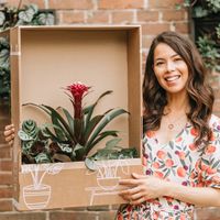 Interior Junkie Plantenbox (3 stuks)