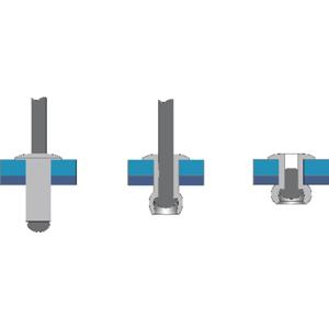 Bralo S1210003208 Popnagel (Ø x l) 3.2 mm x 8 mm Staal Staal 50 stuk(s)