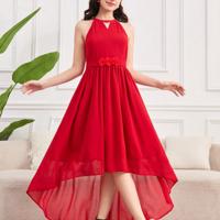 Teen Girls Dusty Pink Halter High Low Hem Appliques Party Dress Red / 10-11Y