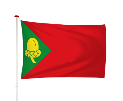 Vlag Noordbergum - Noardburgum (fr)