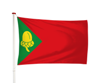 Vlag Noordbergum - Noardburgum (fr)