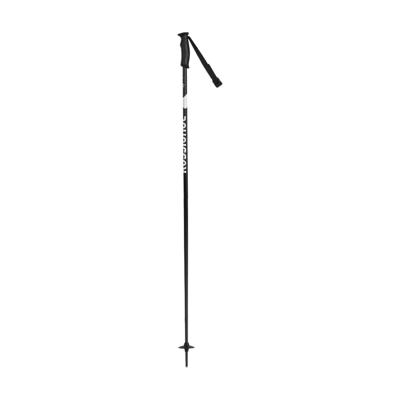 Rossignol Electra Black Ski Stokken 120