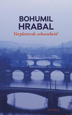 Verpletterde schoonheid (Paperback)