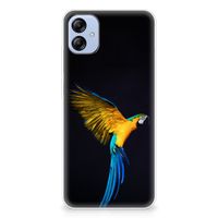 Samsung Galaxy A04e TPU Hoesje Papegaai