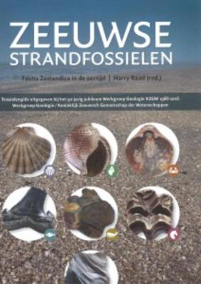 Zeeuwse strandfossielen (Paperback)