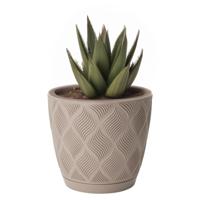 Form Plastic Plantenpot/bloempot New Age - kunststof - beige - D13 x H12 cm