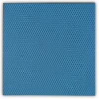 Thermal Grizzly Minus Pad Advance - 100x100x0,5 mm 2 pcs