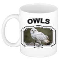 Dieren sneeuwuil beker - owls/ uilen mok wit 300 ml