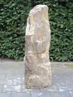 Versteend hout MA-33, 90 cm