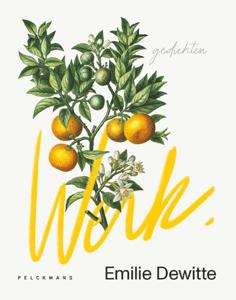 Werk (Paperback)