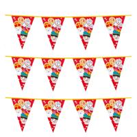 Vlaggenlijnen Sinterklaas - 6x - 6 meter - feestversiering - Welkom Sint en Piet