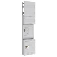 ABN EZ17311 Meterpaneel Inhoud: 1 stuk(s)